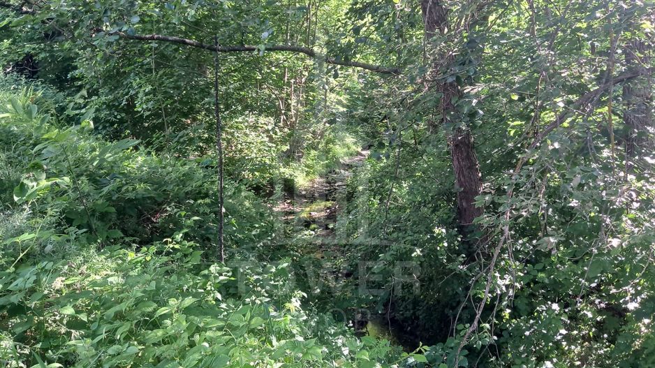 Teren în Fântânele – 3.673 mp, pârâu si cadru natural  deosebit - Poză 9