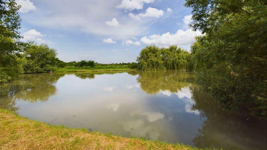 Moară istorică cu teren și luciu de apă în Aldești - Poză 9