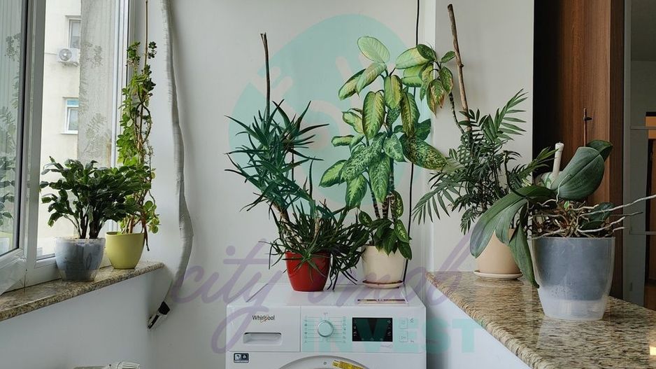 2 camere luminoase langa Parcul IOR - Poză 13