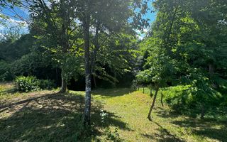 TEREN INTRAVILAN,  SUPRAFAȚA 3446 MP, BUGHEA DE SUS, ARGES - Poză 22