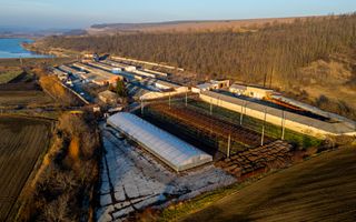 Fosta Ferma a Partidului de la Horgesti - de vanzare - Poză 19