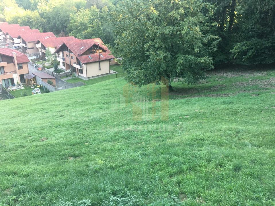 Teren intravilan Brasov Strada Ciresului 2900 mp - Poză 1