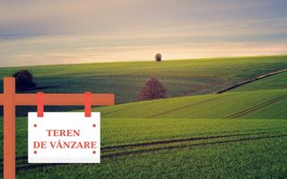 Teren situat în Daia Nouă!! - Poză 1
