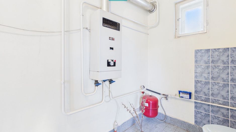 Casă cu 3 camere lângă frontiera Turnu - Poză 7