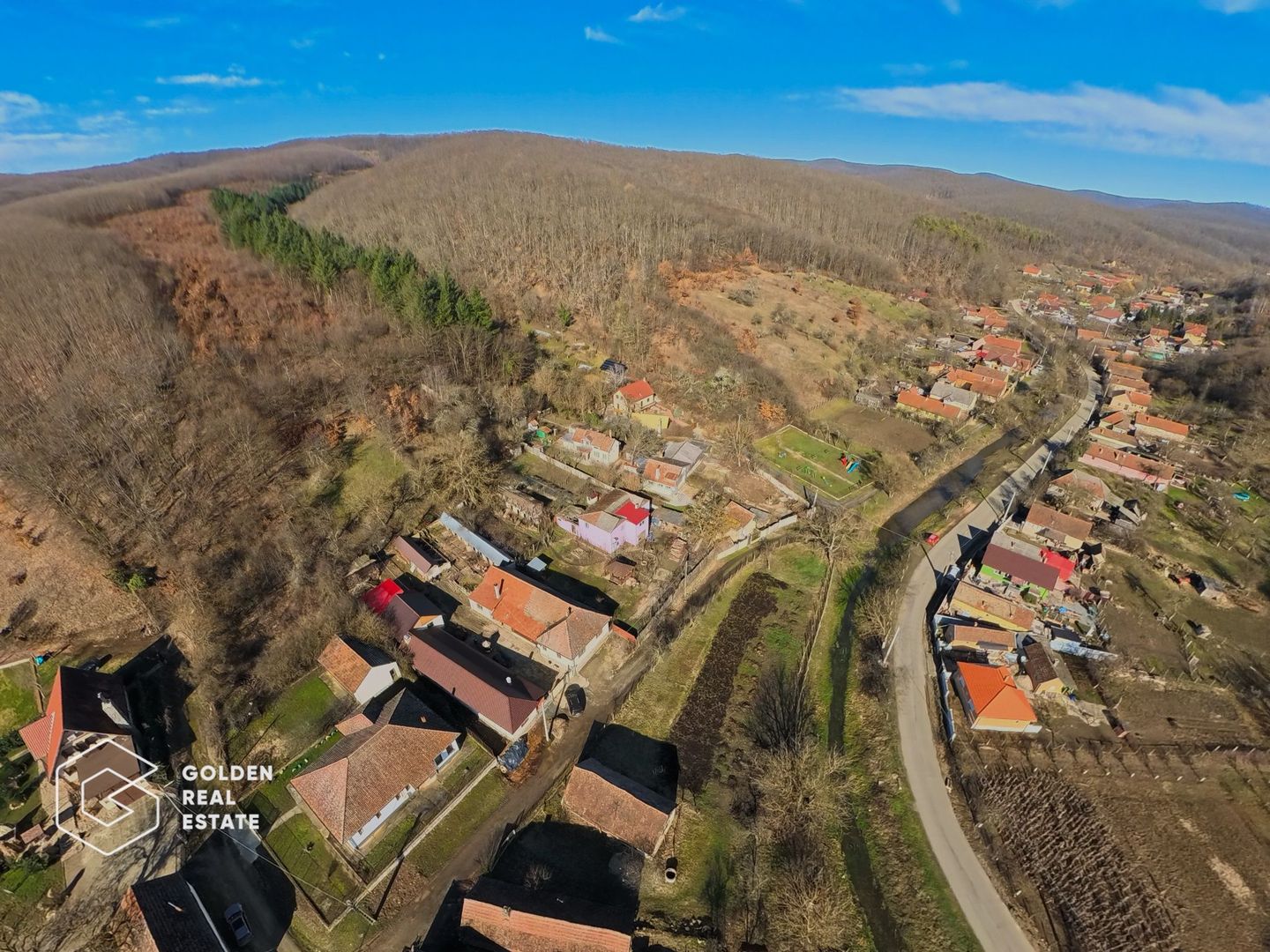 Proprietate pretabila pentru afacere, Cladova - Poză 35