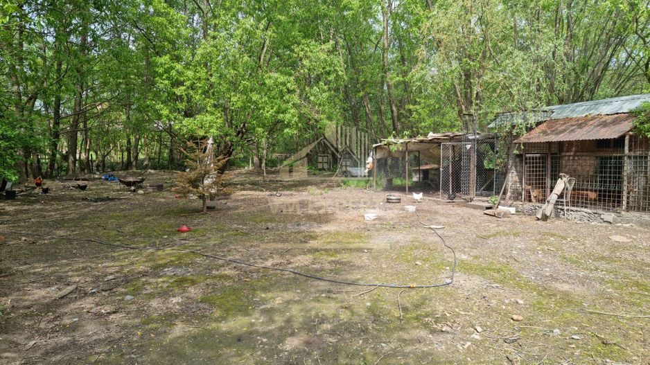 CASA 3 CAMERE, TEREN 6200 MP + 2 LACURI, CAMPULUNG, NAMAIESTI - Poză 28