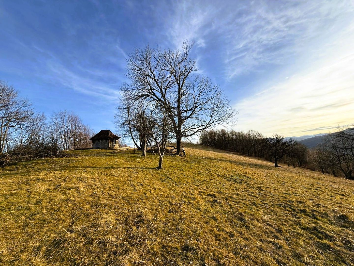 2,2 Ha TEREN INTRAVILAN PANORAMIC, in Muntii Apuseni NEGRENI – CLUJ - Poză 3