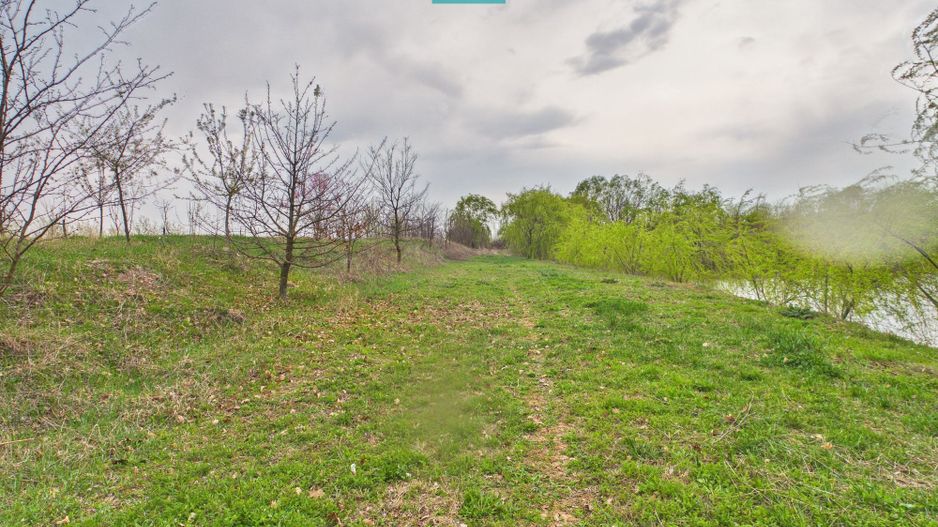 Teren 1 ha cu baltă populată – Alioș (Mașloc) - Poză 5