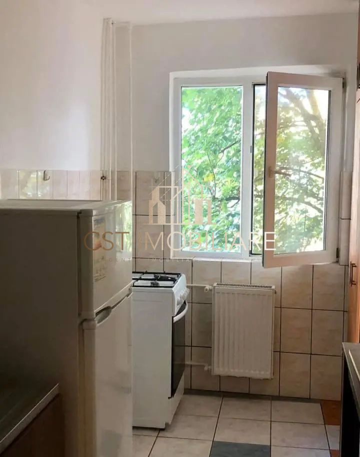 Apartament 2 camere, , etaj 2 Ana Ipatescu,Sagului - Poză 9