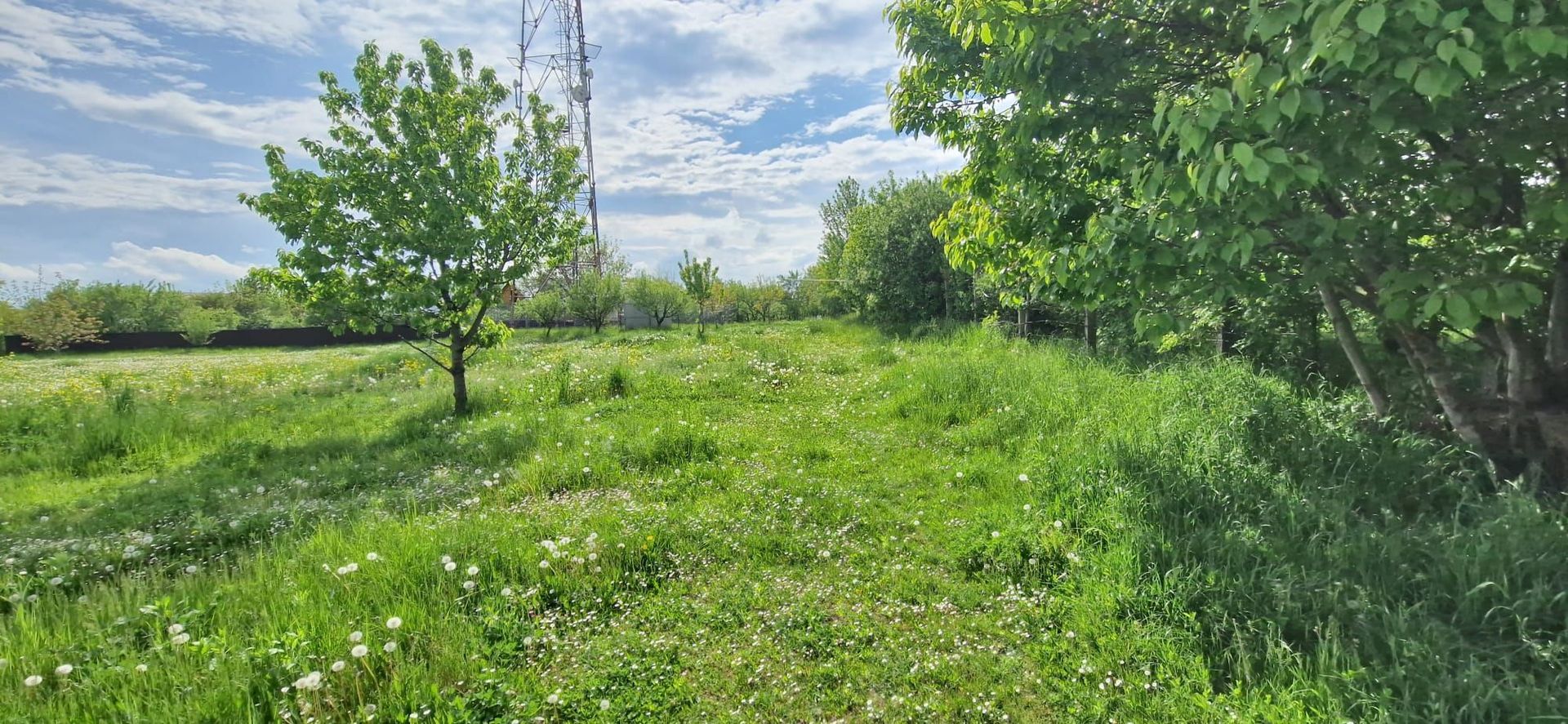 SE VINDE teren intravilan Falticeni - Poză 4
