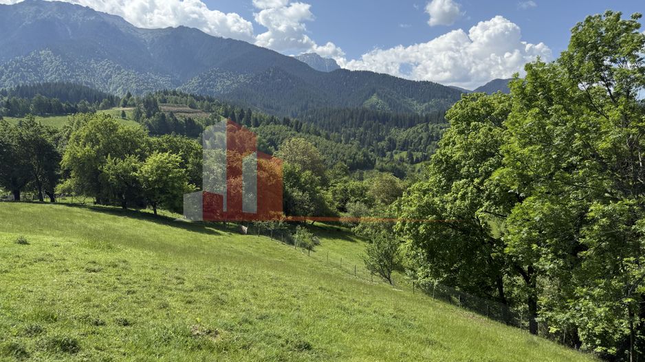 Teren cu priveliște spectaculoasă în Bran – Sohodol - Poză 13