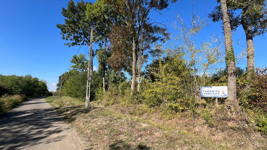 De vanzare Teren Intravilan Viile Satu Mare 2812MP/Dublu Front Stradal - Poză 7