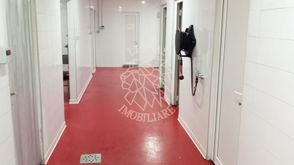 Afacere la cheie-Carmangerie cu utilaje-teren 10 ari-Galatii Bistritei - Poză 5