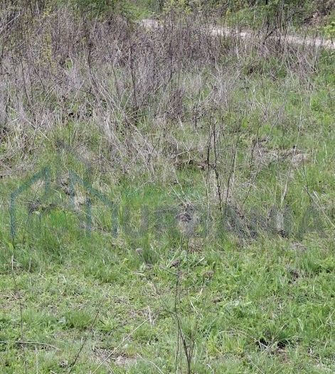 Teren extravilan de vanzare, Bucium, Iasi - Str. Boiangiu, vizavi de Carter Vile Teh Construct - Poză 5