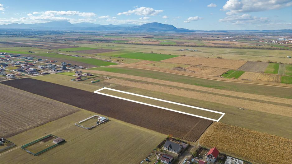 Teren 7.647 mp în Bod, Ideal pentru mica Dezvoltare Rezidențială - Poză 6