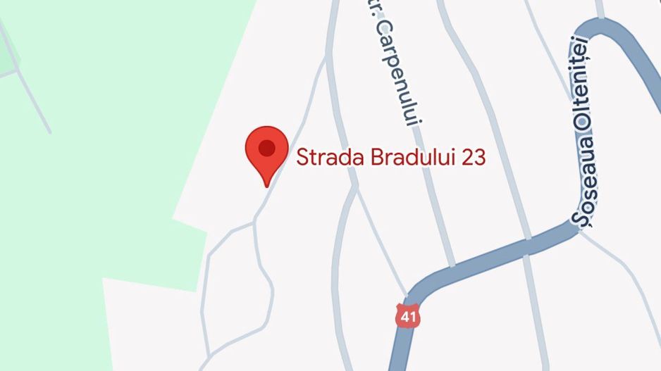 Vânzare – Teren Intravilan cu Livadă, Sat Plopsoru, Comuna Daia - Poză 3