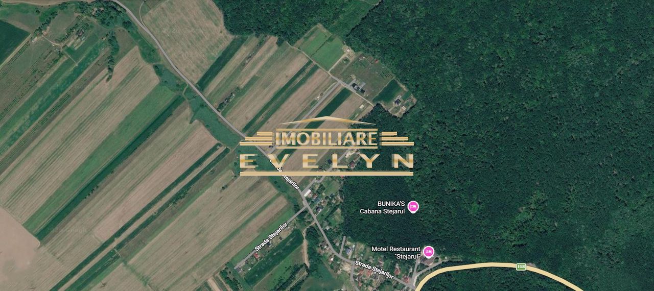 Teren intravilan 10.600 mp – Zona Restaurant Stejaru, Baisa - Poză 1