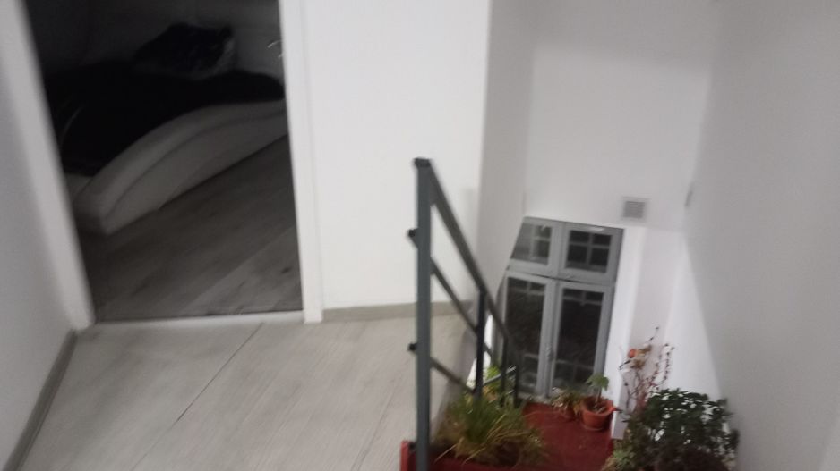 Ag BRASADAS vinde vila 30 cam 1700mp Unirii. - Poză 4