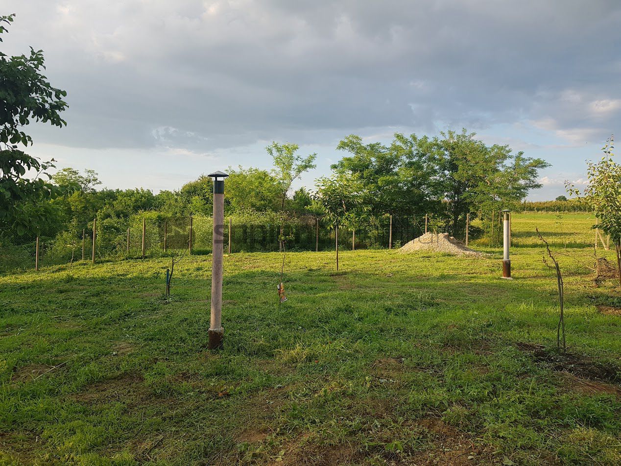 SAPIENT/TEREN INTRAVILAN 600 MP CU ANEXE ȘI PIVNITE - EPISCOPIA - Poză 11