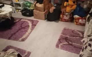 Apartament 3 camere, decomandat, 64 mp, central, Campina, PH - Poză 3