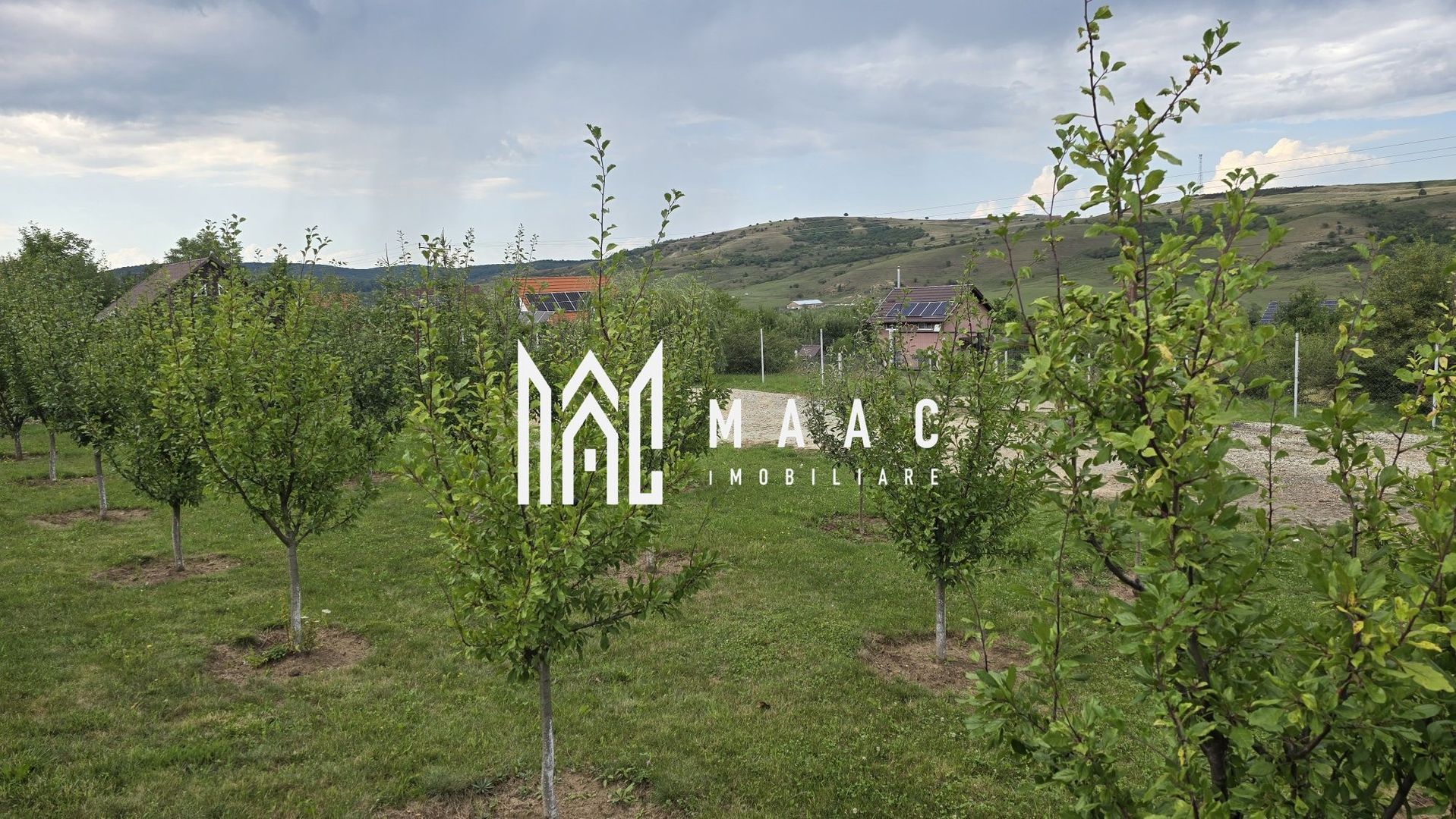 Teren Intravilan | 670 Mp |  Daia - Poză 2