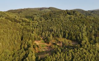 18000 mp de natura pura ,Lupeni, langa Straja - Poză 22