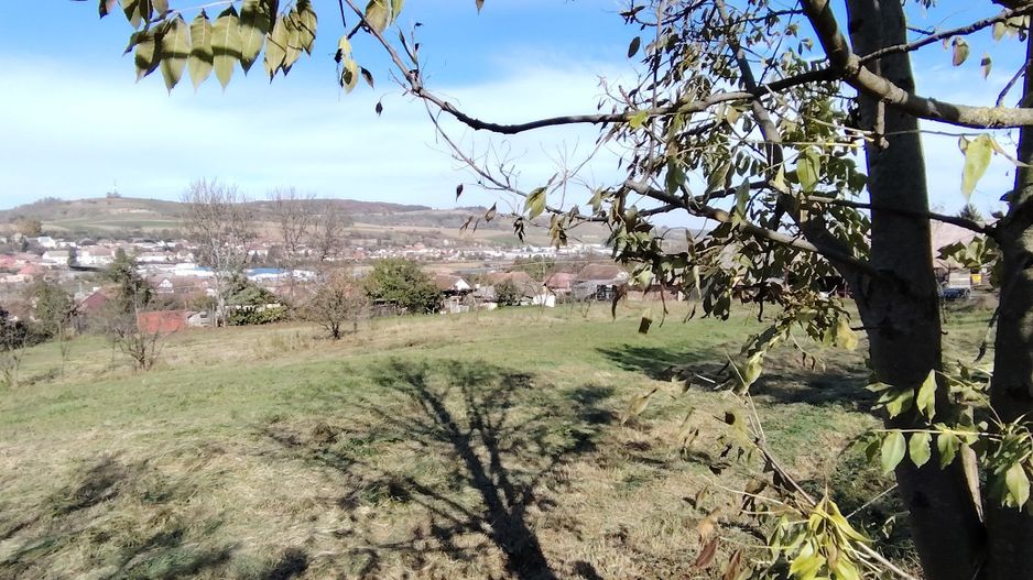 Teren intravilan 3.798 mp în Agnita, cu posibilitate de parcelare - Poză 4