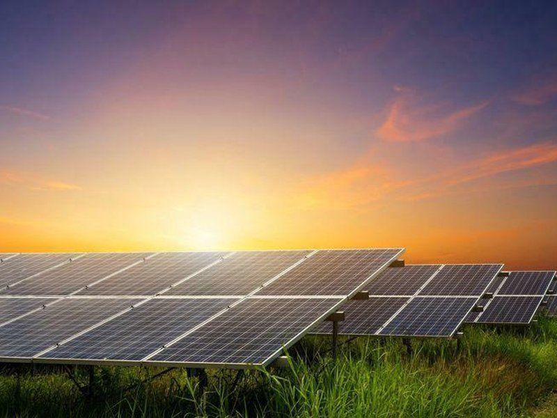 Teren ideal Green Energy Solar Parc fotovoltaic Arad 17,5ha exclus ATR - Poză 2