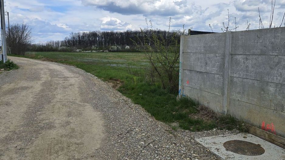 Teren Snagov Ciofliceni cu  pădurea la vedere - Poză 8