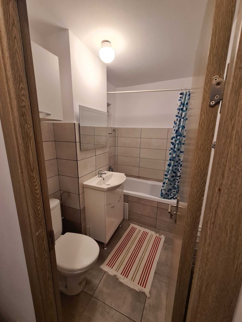 Apartament dr. Iacob Felix //  Piața Victoriei - Poză 6