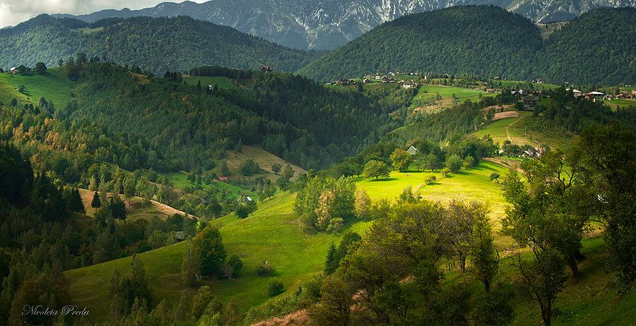 In locatia de basm: - Pestera, Moieciu, Brasov, utilitati, accesibilitate - Poză 1