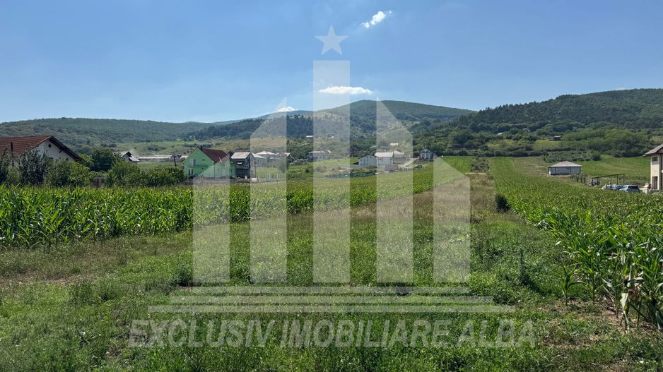 Teren intravilan de vanzare, Alba-Micesti - Poză 4