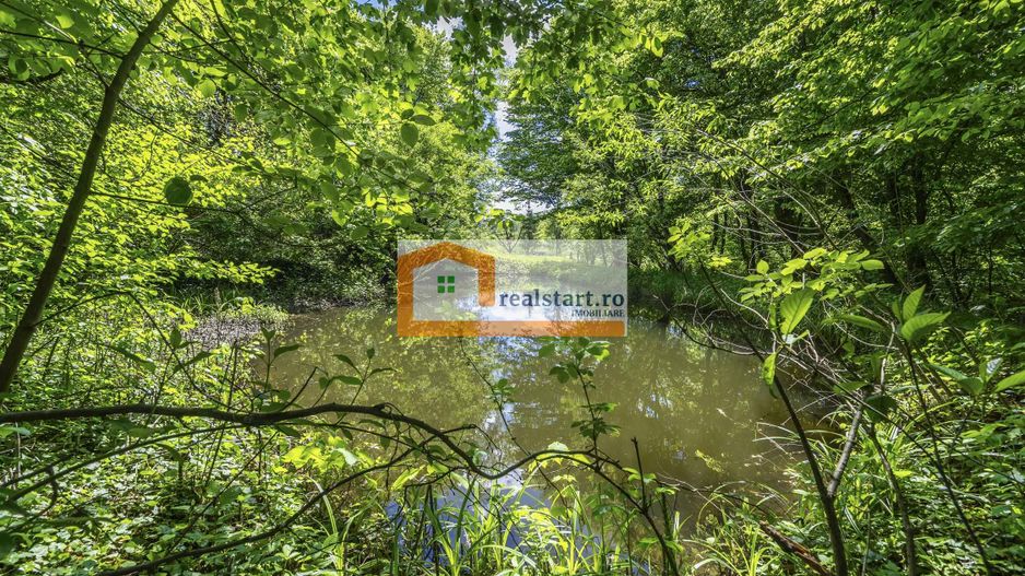 Oportunitate, Restaurant cu MiniPensiune 800mp, 1,8ha teren, Via Transilvanica - Poză 71