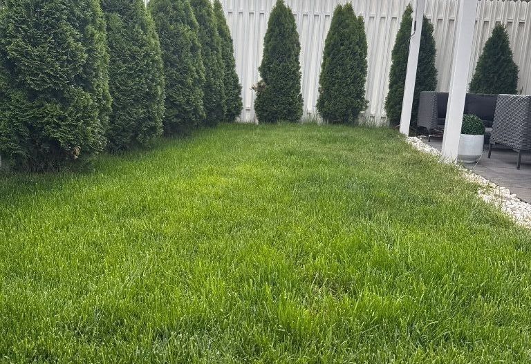 VILA MODERNA | COMPLET MOBILATA SI UTILATA | PIPERA - Poză 10