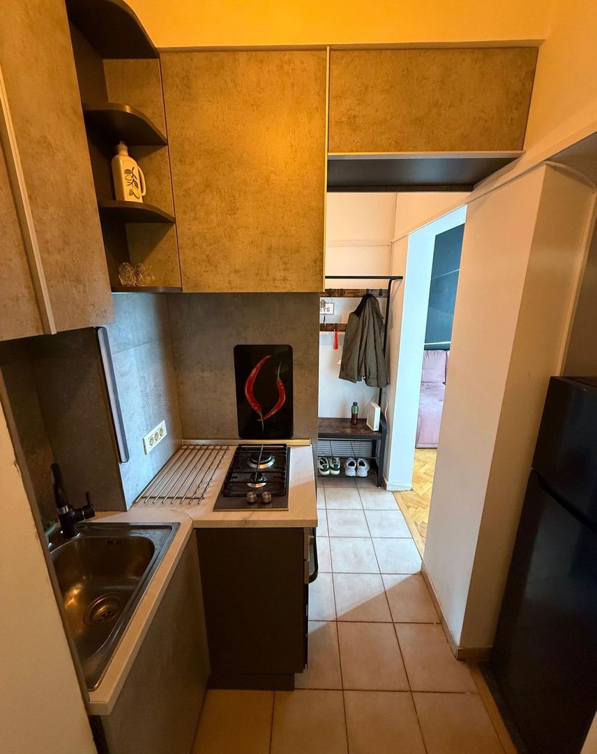 AP.2 CAMERE ROSETTI,CENTRALA PROPRIE,DOG-FRIENDLY,MOBILAT MODERN - Poză 3