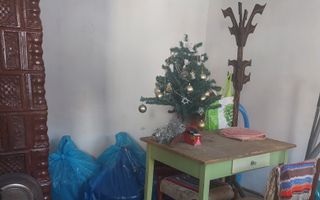 CASĂ PĂLTINIȘ\JUD. CARAȘ-SEVERIN\ COMISION 0% - Poză 11