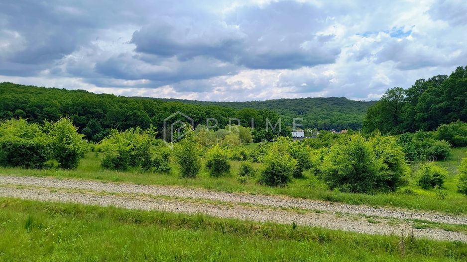 Oportunitate de investiție – 4 parcele în Corunca, 20 €/mp - Poză 7