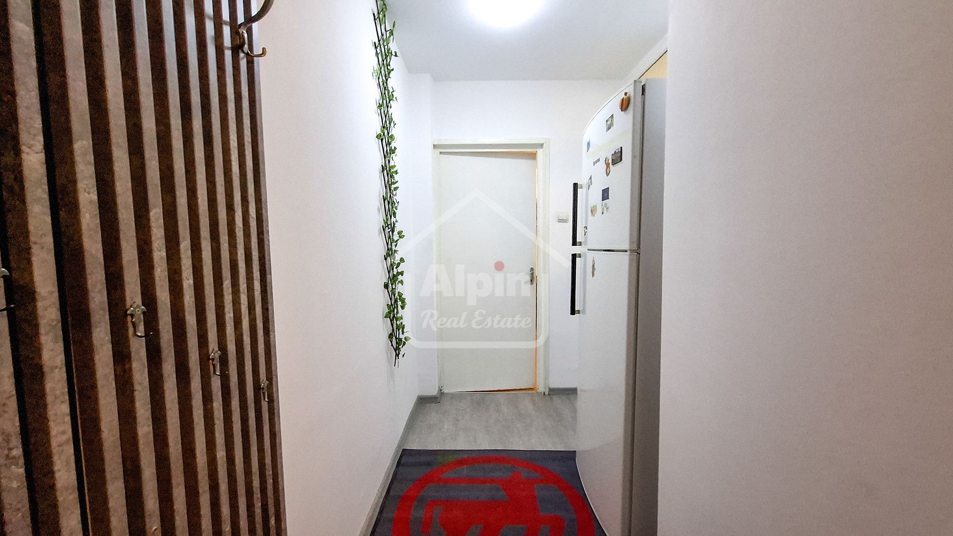 Suprafata Generoasa I Zona Gemenii - Poză 11