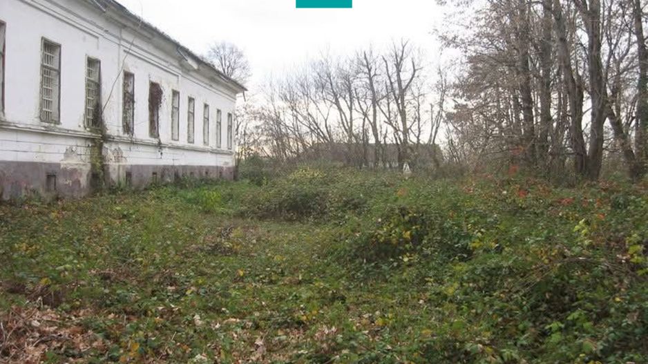 Conac nobiliar de secol XIX cu 8 camere în Maciova - Poză 30