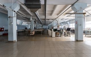 Chirie, spațiu industrial, 3000 mp, str. Sprîncenoaia, Centru - Poză 6