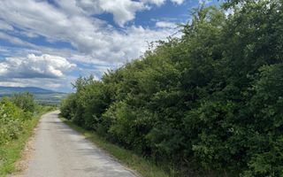 Teren aproape de pădure Jelna - Poză 1