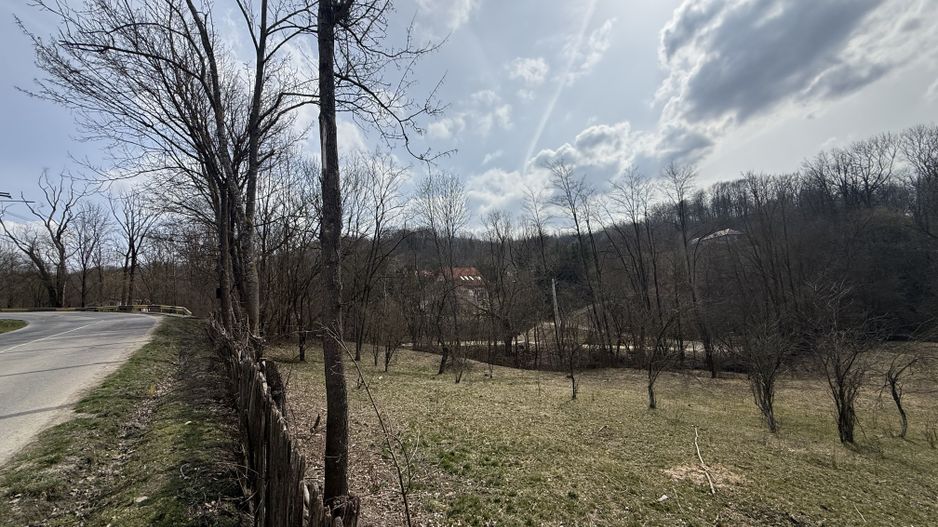 Teren intravilan la asfalt 2100 mp deschidere 21 mp la asfalt! - Poză 4