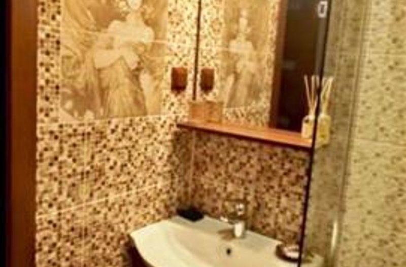 Casa cu spatiu comercial  si teren in zona Afi - Poză 8