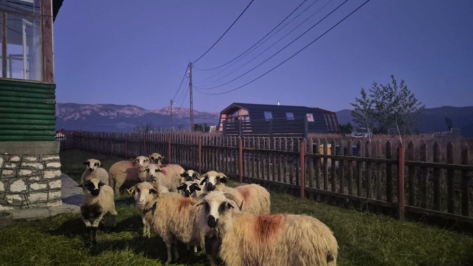 Exclusivitate- Casă rustică de închiriat în Fundata – Priveliște spectaculoasă - Poză 25