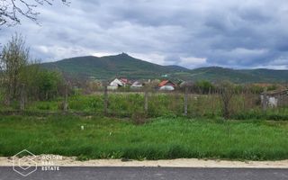 Teren intravilan, comuna Siria - Poză 3