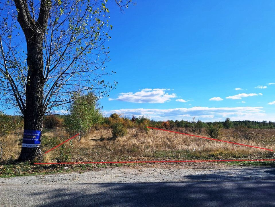 TEREN INTRAVILAN ȘI EXTRAVILAN BAIA DE FIER - Poză 1