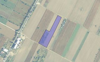 Teren intravilan de vânzare Berceni Vidra | 500–650 mp | curent la lot - Poză 5