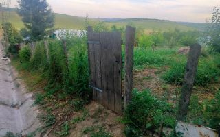 Teren intravilan de 1550 mp în localitatea Buznea, strada Corneliu Coposu - Poză 4