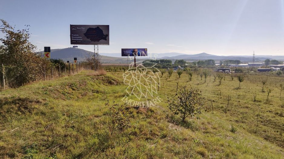 Teren intravilan 1,5 Ha-Parcelabil-Sieu Magherus, Zona Teraplast - Poză 5