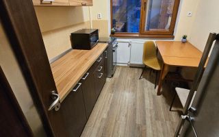 Proprietar vand apartament cu 2 camere, Vasile Lucaciu, Tipografilor, Timisoara - Poză 5